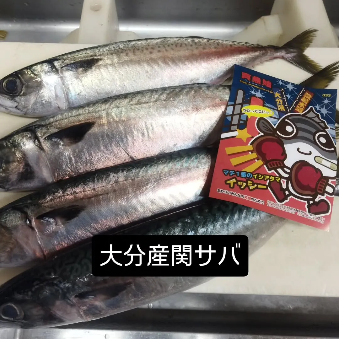 いつもありがとうございます。