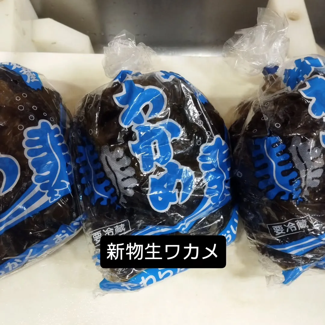 いつもありがとうございます。