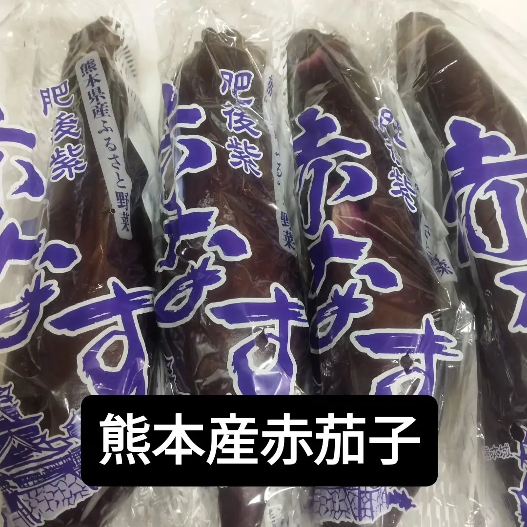 本日のおすすめ。