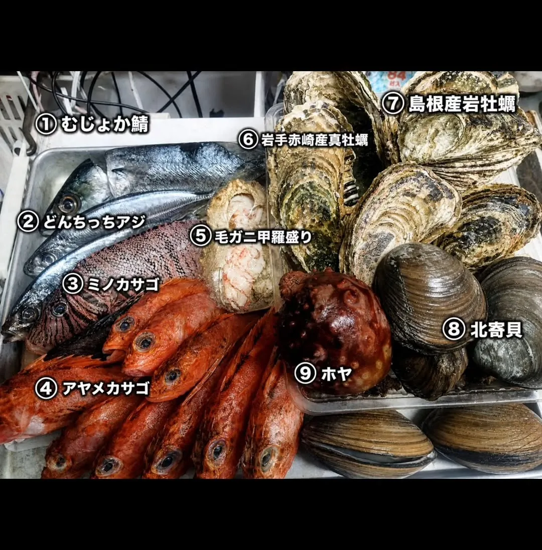 ✨本日解禁✨