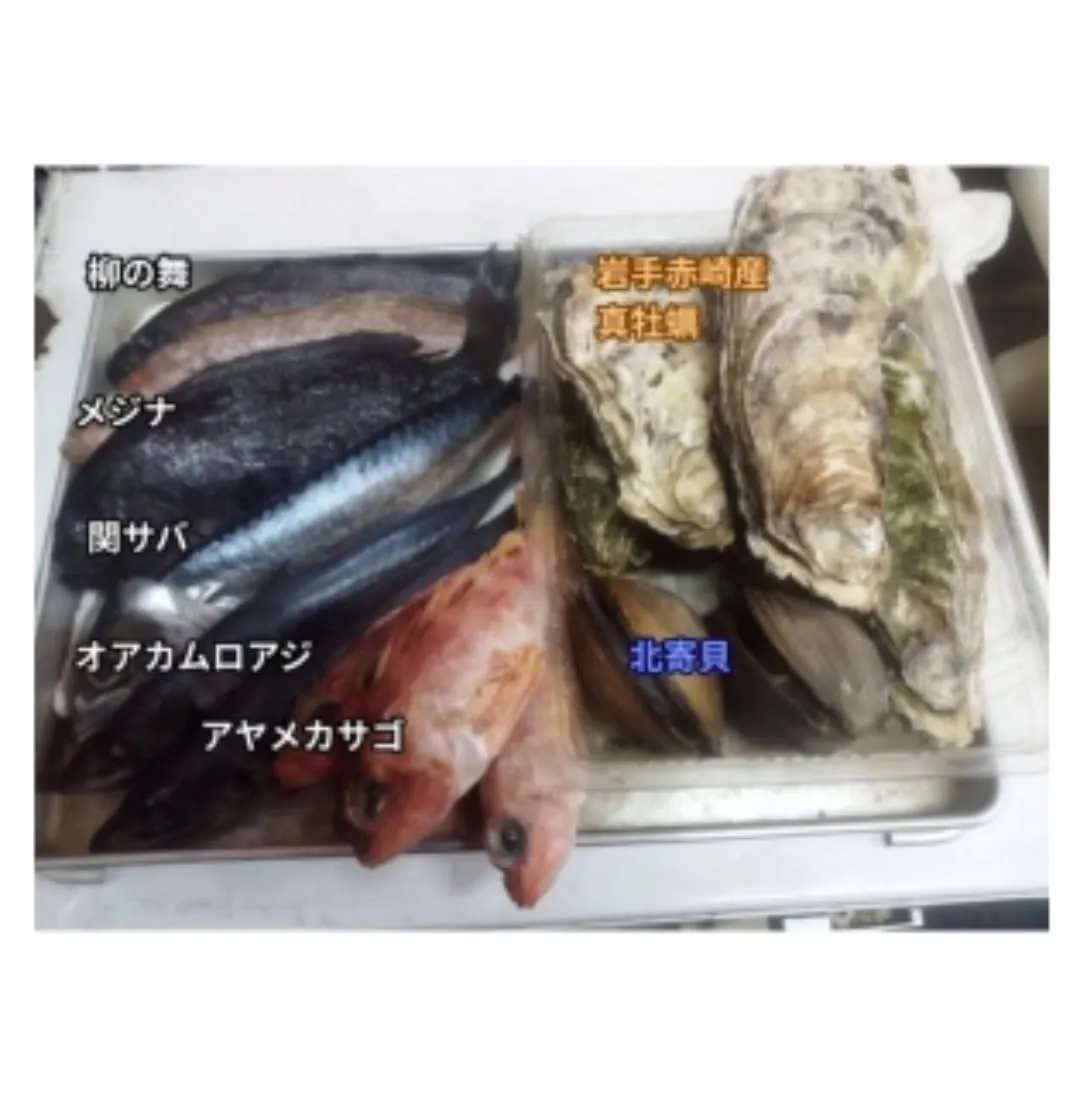 🔥数量限定・残りわずか🔥