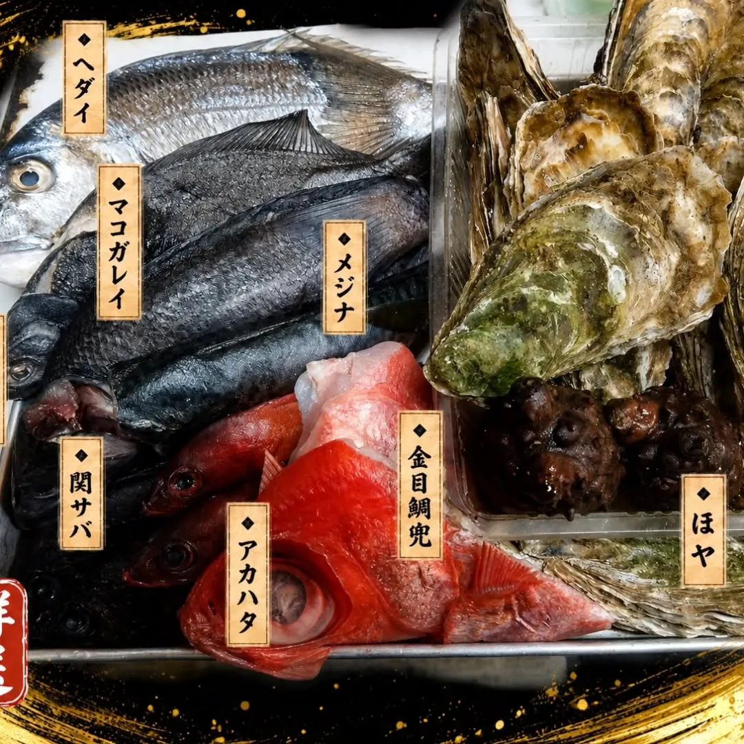 江戸川区西小岩の海鮮居酒屋