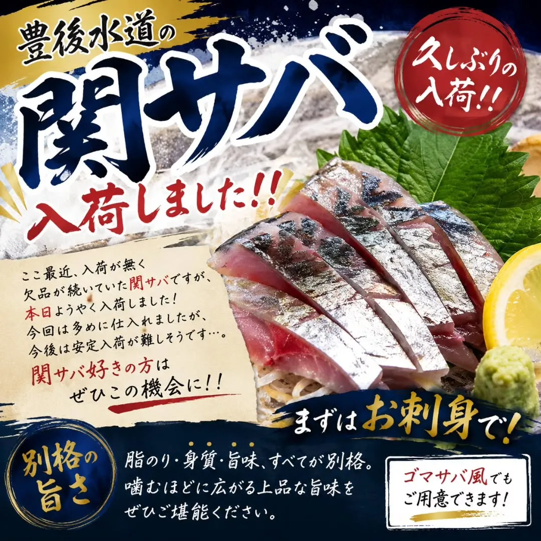 豊後水道の関サバ入荷しました!!