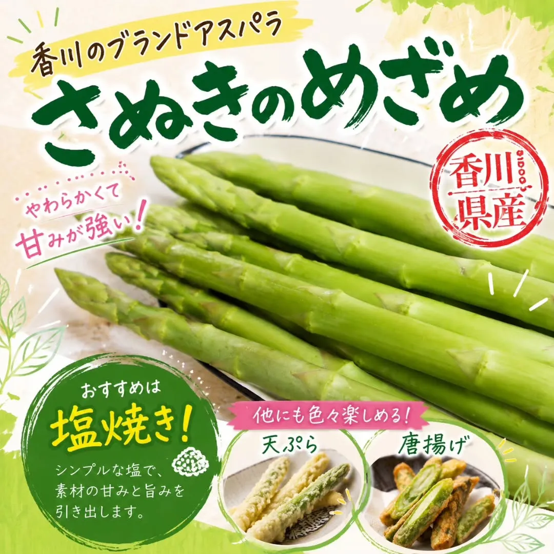 今年も入荷しました!!