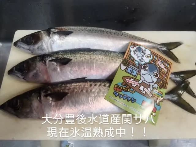 本日はお休みをいただいておりますが、明日に備えて仕入れを。