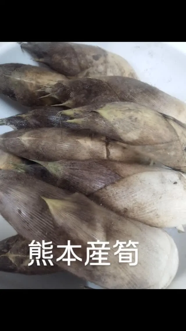 本日のおすすめ